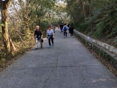 -紫金山山顶公园