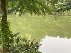 -昆山城市生态森林公园