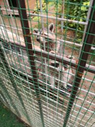 -萌宠亲子动物乐园(槐房万达店)