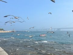 -星海广场