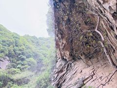 -抱龙峪