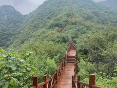 -大岭沟猕猴桃谷风景区