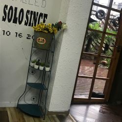 -Hair Solo