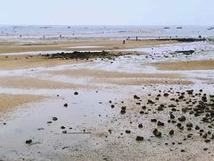 -北海金海湾红树林生态旅游区