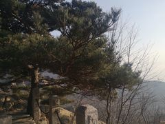 -崂山巨峰游览区
