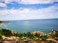 -广东惠东海龟国家级自然保护区