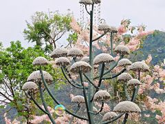 -白石龙音乐公园