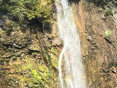 -上海辰山植物园