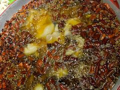 -雲蜀龙阁·金牌水煮鱼(方庄店)