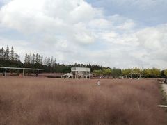 -嘉北郊野公园