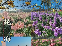-盈香心动乐园