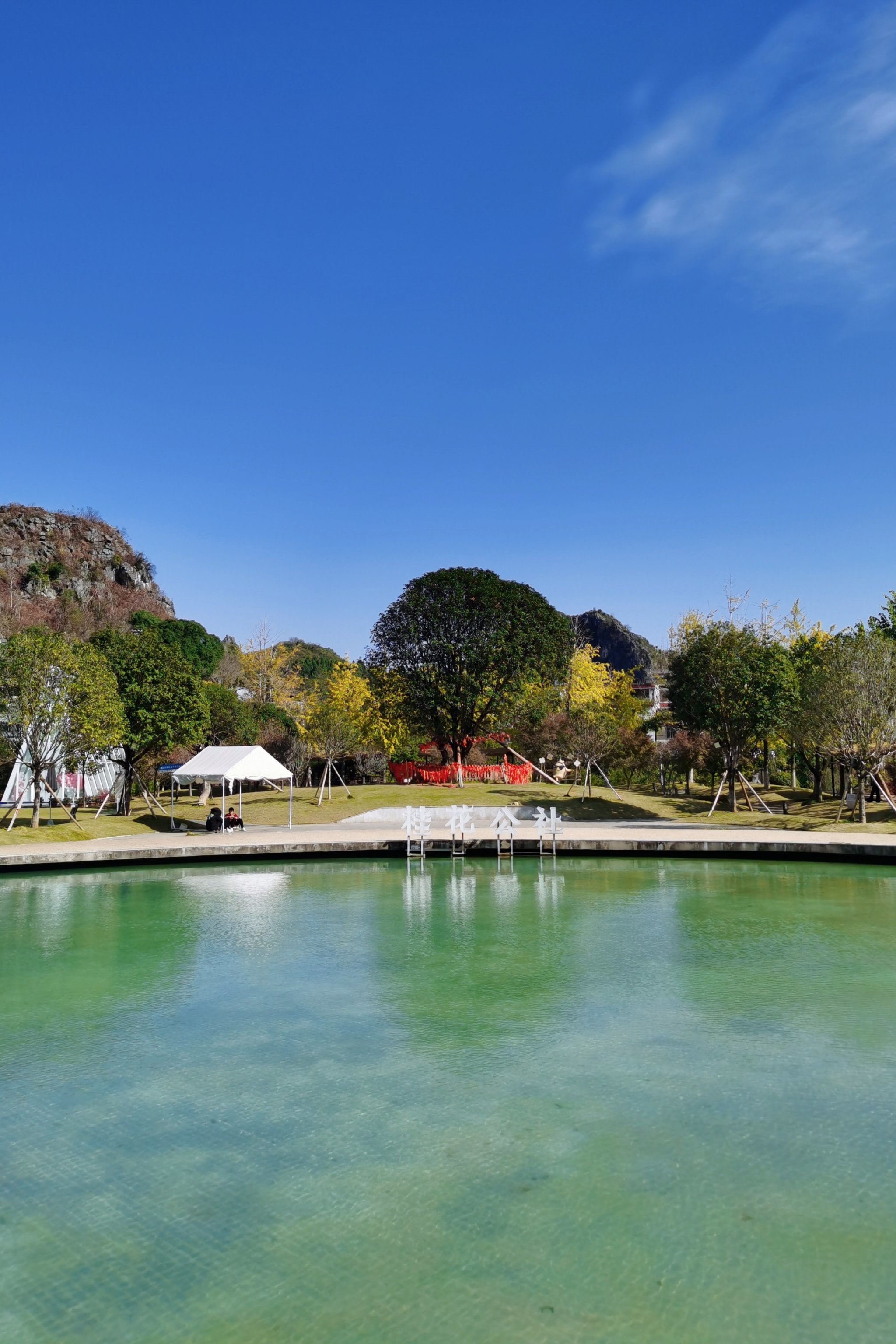 🌼 桂花公社🍦桂花雪糕,包好吃的!