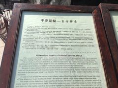 -海口骑楼小吃街