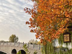 -汉长安城未央宫国家考古遗址公园