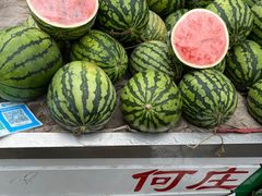 -何庄子阿米玛玛农产品批发市场