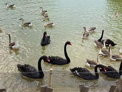 -艾溪湖湿地公园