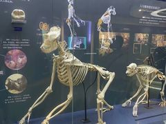 -国家自然博物馆