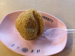 麻球-清华大学-清芬园