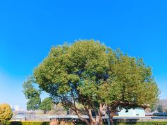 -上海山野camping·户外天幕烧烤·团建拓展营地