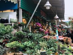 -曲阳花鸟市场(曲阳路店)
