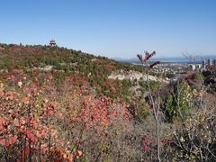 -府君山公园