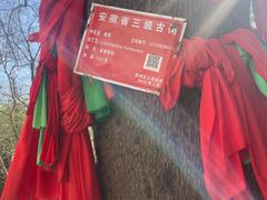 -敬亭山风景名胜区