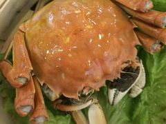 -上海老饭店(北京分店)
