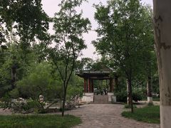 -山东师范大学(千佛山校区)