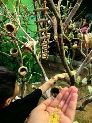 -Zoolung Zoolung动物主题公园(海信广场店)