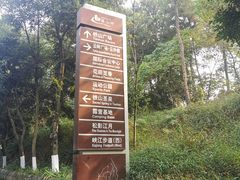 -铁山坪森林公园