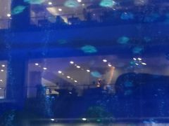 -成都浩海立方海洋公园