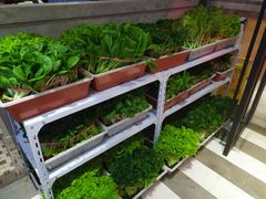 -捞围鲜·港式打边炉(海阳路店)