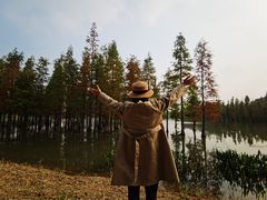 -白鹭湾湿地公园