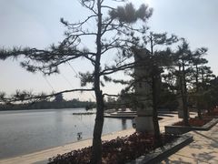 -石家庄市植物园