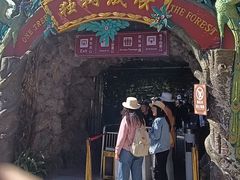 -瑞丽独树成林风景区