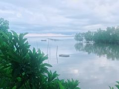 -东寨港红树林旅游区