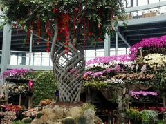 -南通洲际绿博园