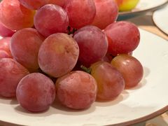 -南堂馆·新川菜(春熙路店)