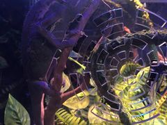 -魔王沉浸式密室(贵阳壹号店)