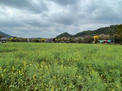 -红山村