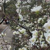 成都植物园