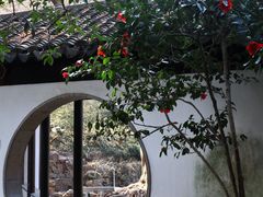 -惠山古镇·寄畅园