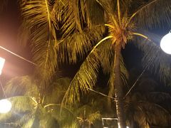 -Horizons Sky Bar & Cigar Lounge(太平洋丝绸酒店店)