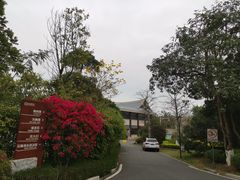 -五缘湾湿地公园