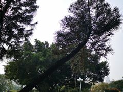 -人民公园(罗湖区)