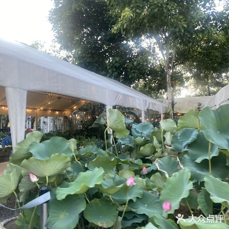 在惠州,有一个如诗如画的地方— 海如的花园