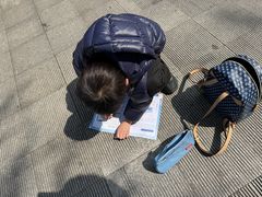 -海合安成都极地海洋公园