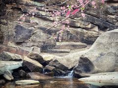 -黑龙潭风景区