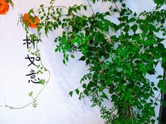 -衣裳街历史文化街区