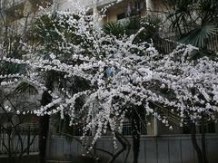 -陕西师范大学(雁塔校区)